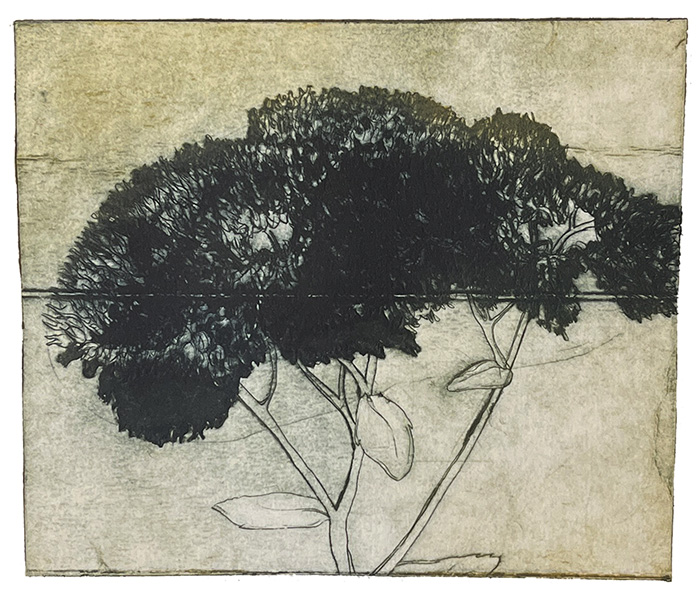 dark-flower-monotypi-collografi