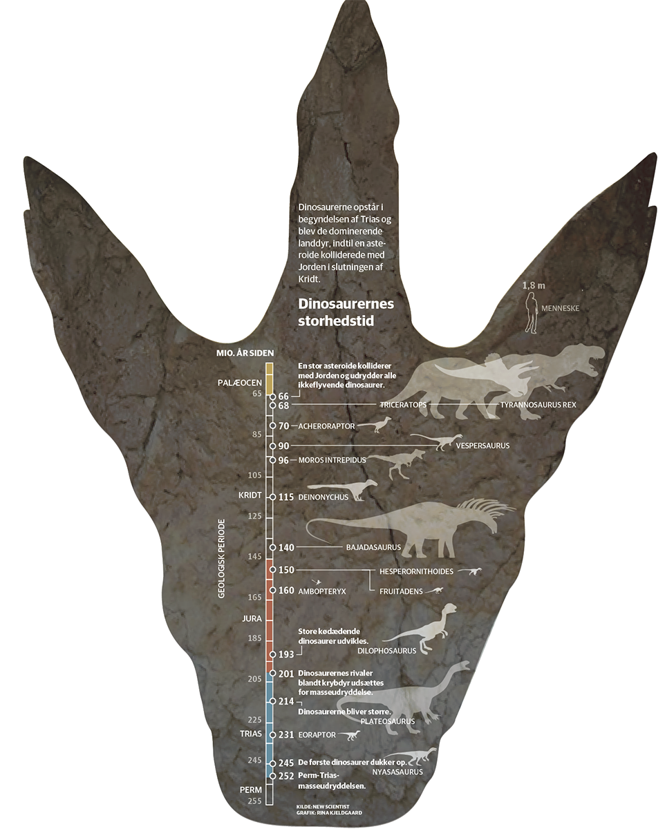 dinosaurernes fodspor