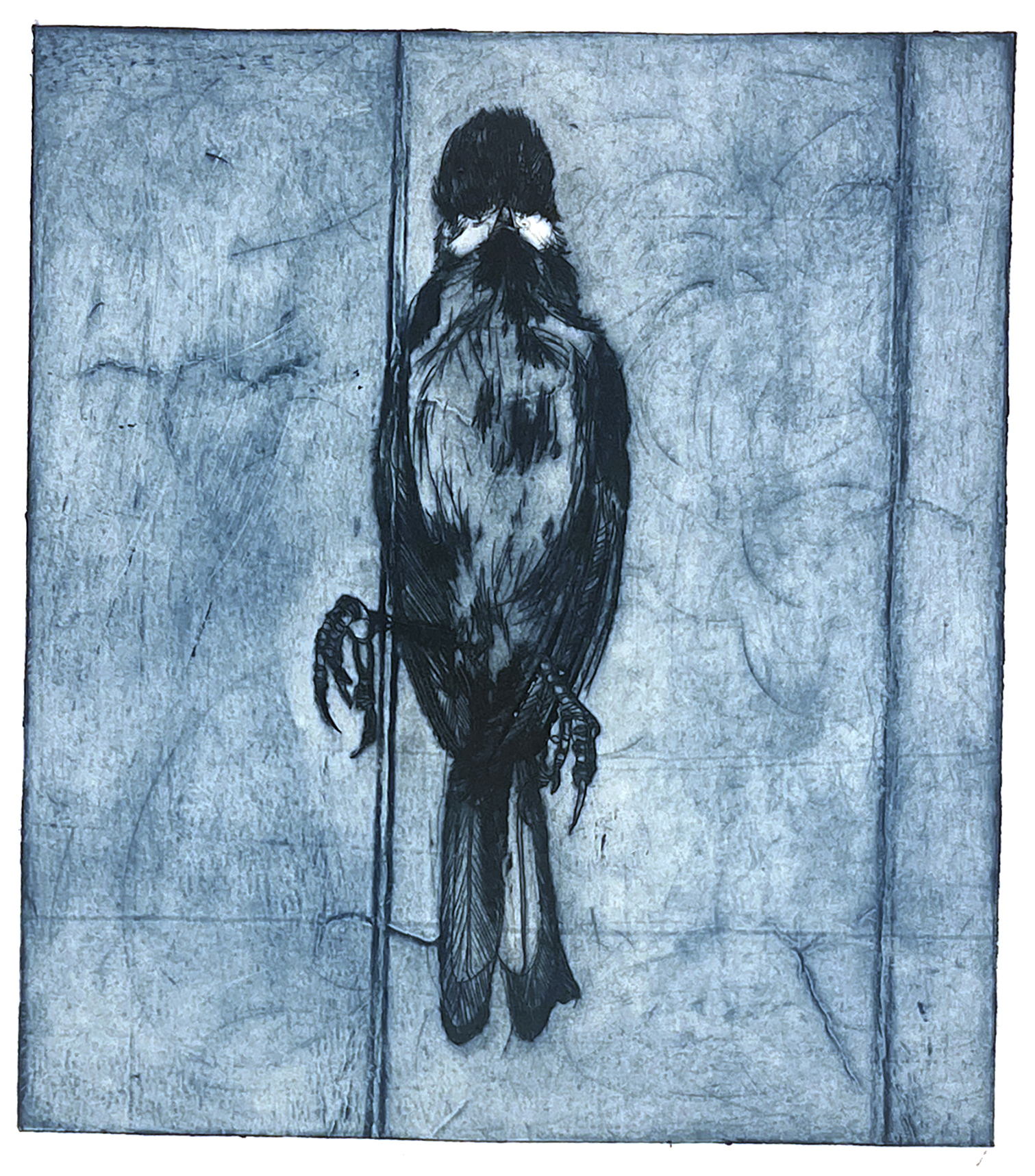 Fugl 1, koldnål, monoprint, 14 x 15,5 cm