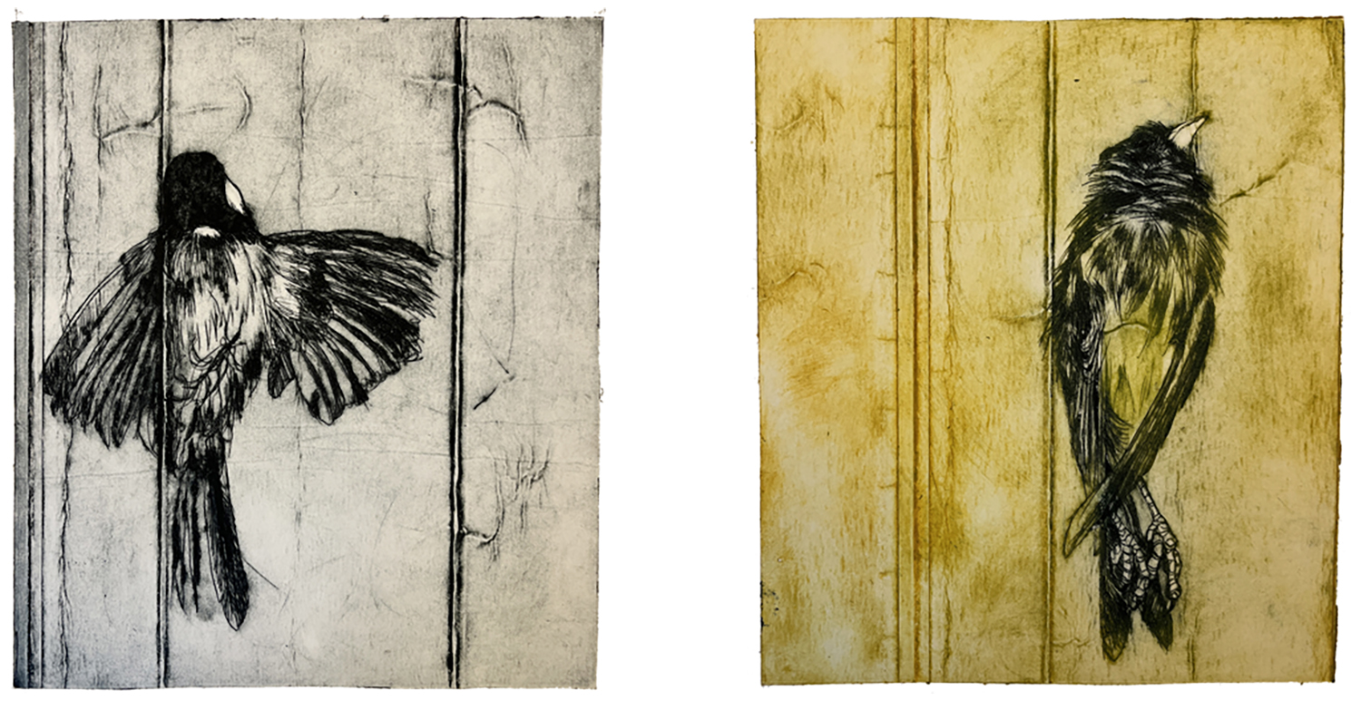 Fugl 10 og 11, koldnål, monoprint, 14 x 15,5 cm