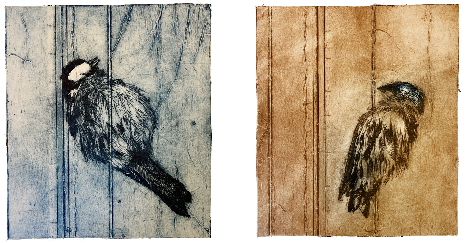 Fugl 12 og 13, koldnål, monoprint, 14 x 15,5 cm