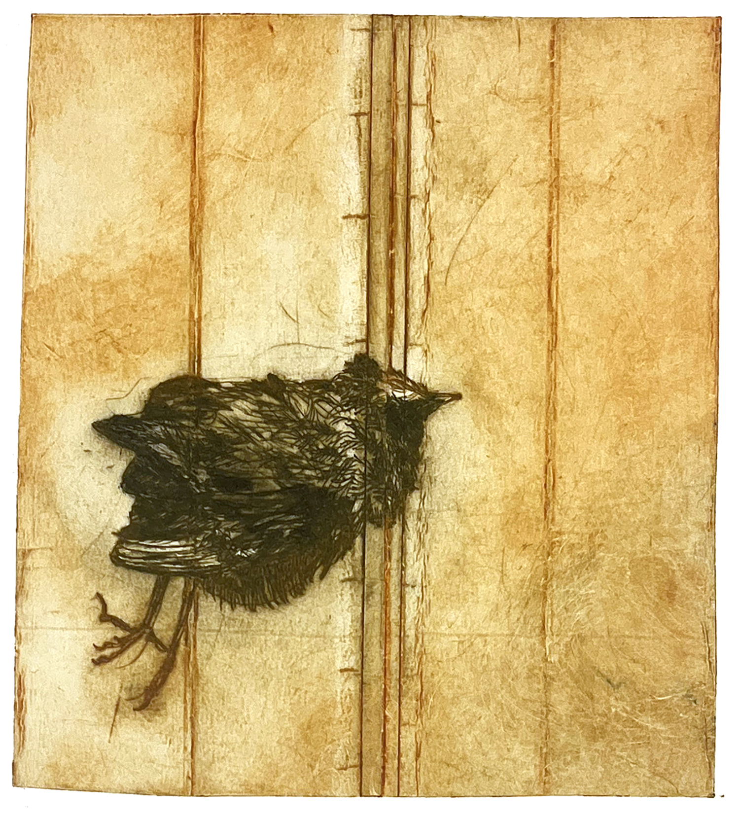 Fugl 2, koldnål, monoprint, 14 x 15,5 cm