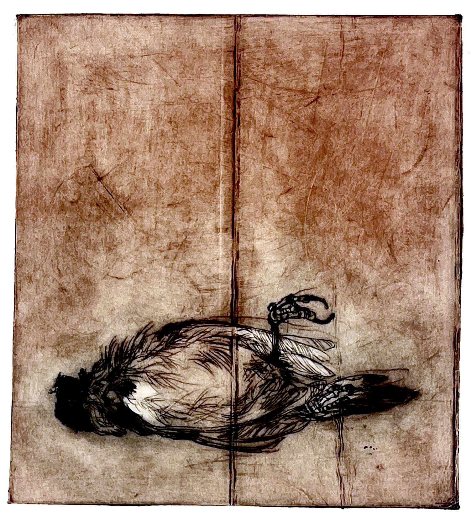 Fugl 4, koldnål, monoprint, 14 x 15,5 cm