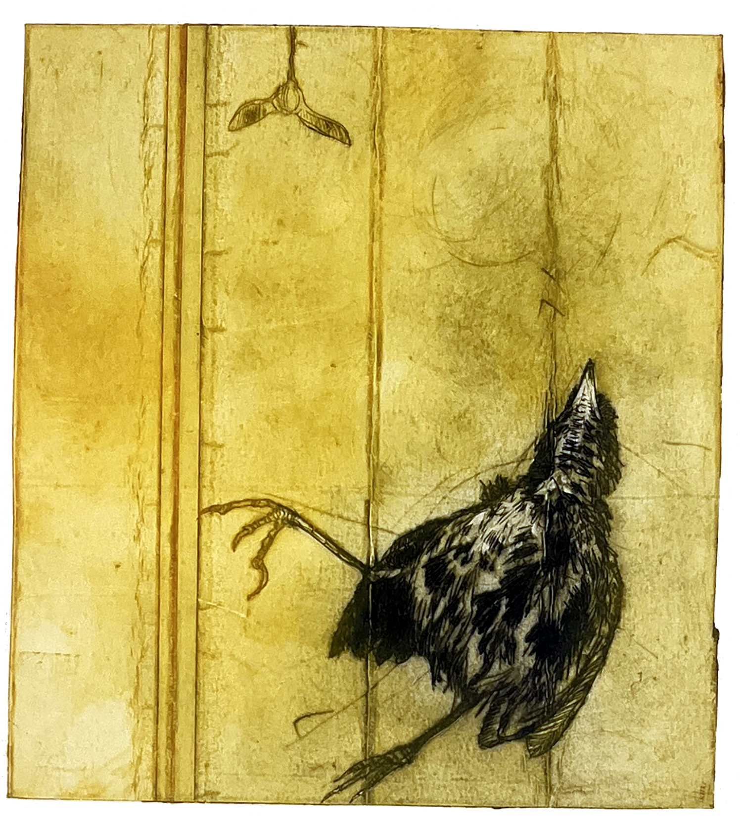 Fugl 5, koldnål, monoprint, 14 x 15,5 cm