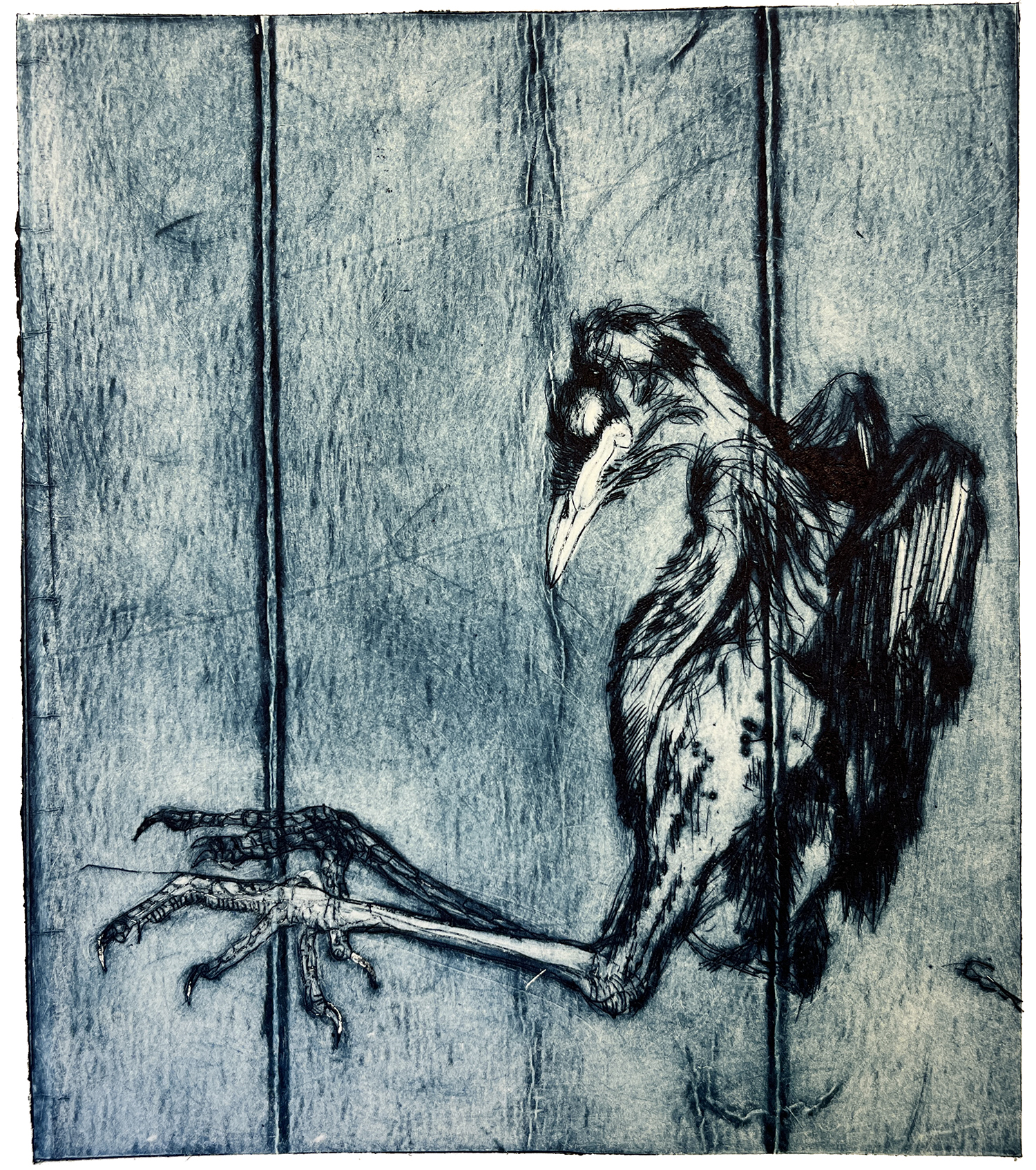 Fugl 7, koldnål, monoprint, 14 x 15,5 cm