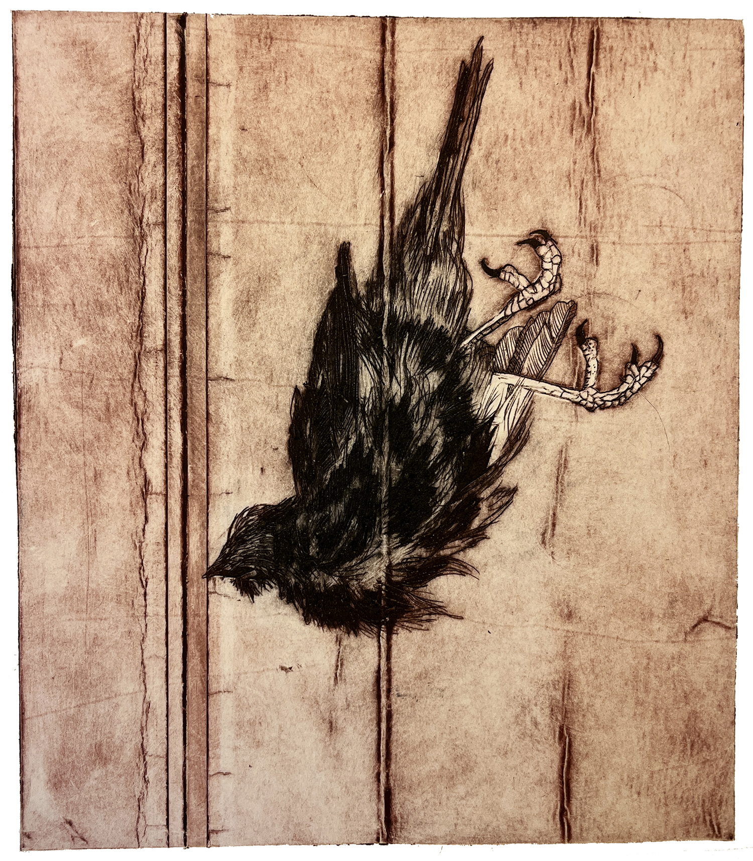 Fugl 8, koldnål, monoprint, 14 x 15,5 cm