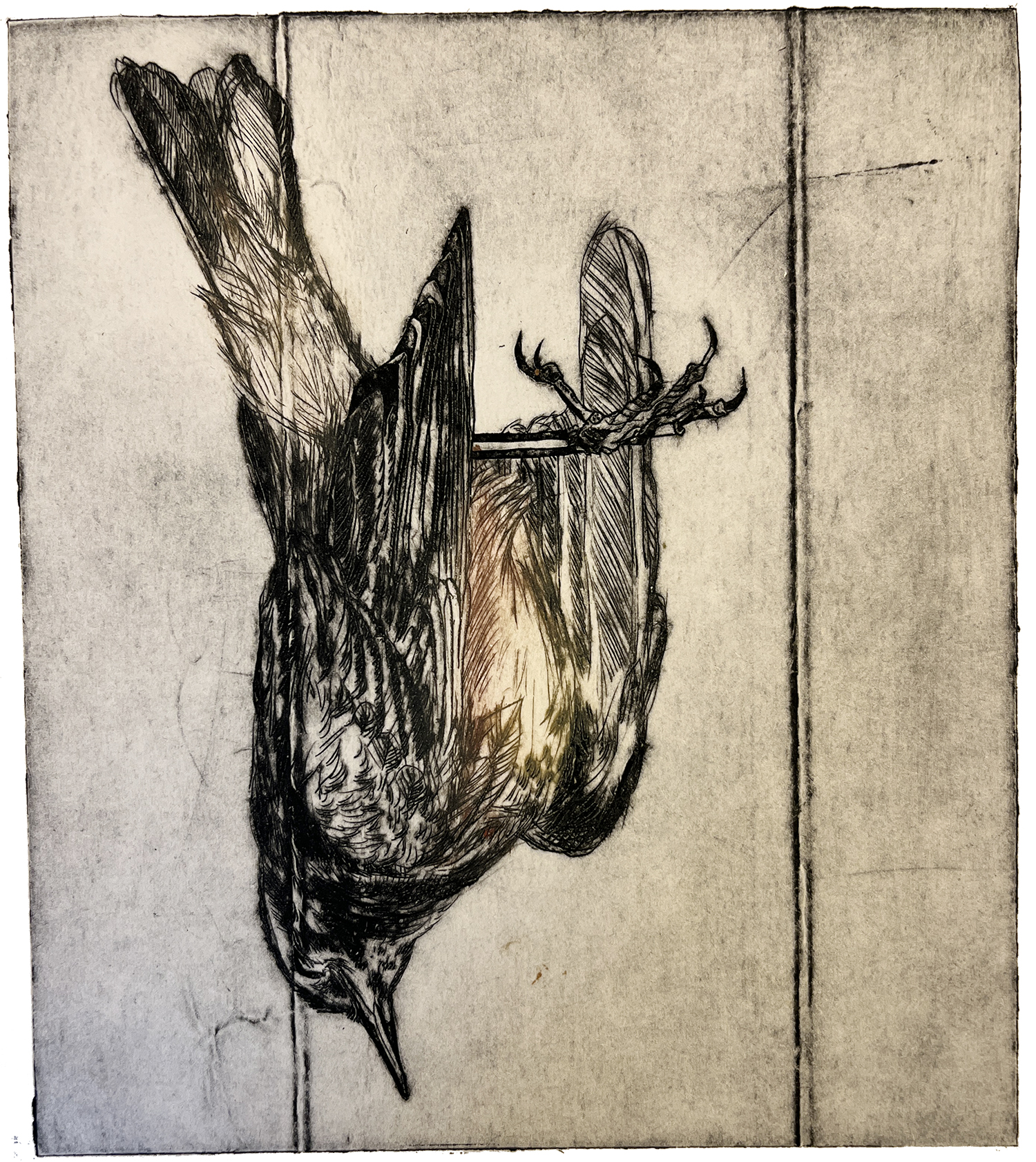 Fugl 9, koldnål, monoprint, 14 x 15,5 cm