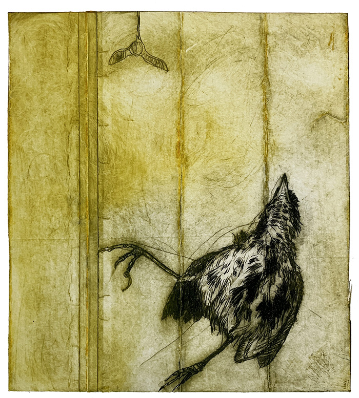 Collografi-monotypi-tetrapak-fugl