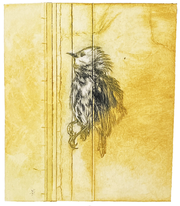 Collografi-monotypi-tetrapak-fugl