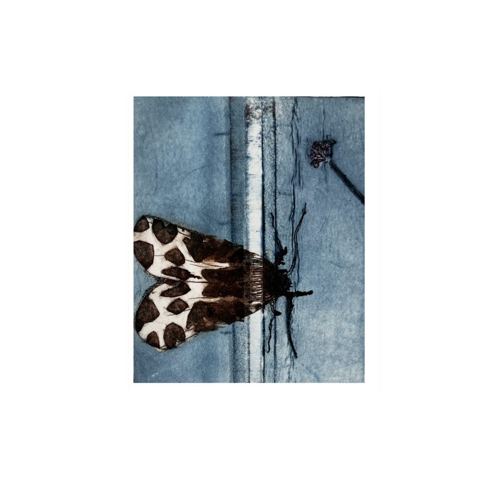 Natbjørn koldnål, monoprint, 6,5 x 9 cm