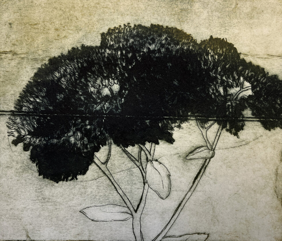 Uden titel, koldnål på tetrapak, 14 x 16 cm